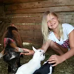 Vakantieboerderij Familienbauernhof Strassbauer Steinakirchen Am Forst