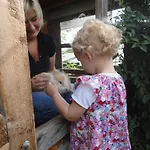 Familienbauernhof Strassbauer Vakantieboerderij *