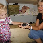 Vakantieboerderij Familienbauernhof Strassbauer Steinakirchen Am Forst