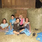 Familienbauernhof Strassbauer Vakantieboerderij Steinakirchen Am Forst
