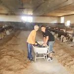 Familienbauernhof Strassbauer Vakantieboerderij *