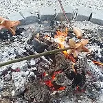 Familienbauernhof Strassbauer Vakantieboerderij Steinakirchen Am Forst