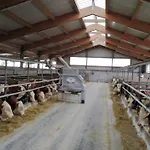 Familienbauernhof Strassbauer * Steinakirchen Am Forst