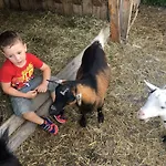 Familienbauernhof Strassbauer Vakantieboerderij