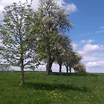 Vakantieboerderij Familienbauernhof Strassbauer Steinakirchen Am Forst