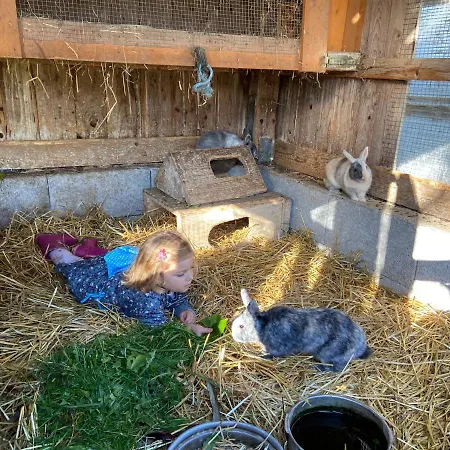 Familienbauernhof Strassbauer * Steinakirchen Am Forst