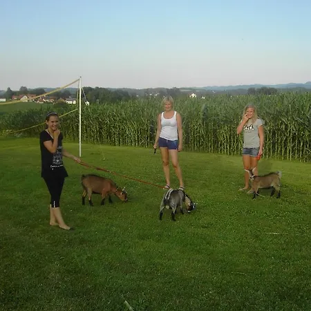 Familienbauernhof Strassbauer Steinakirchen am Forst