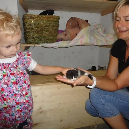 Farmház Familienbauernhof Strassbauer Steinakirchen am Forst