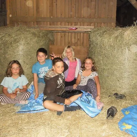 Familienbauernhof Strassbauer Κατάλυμα σε φάρμα Steinakirchen Am Forst