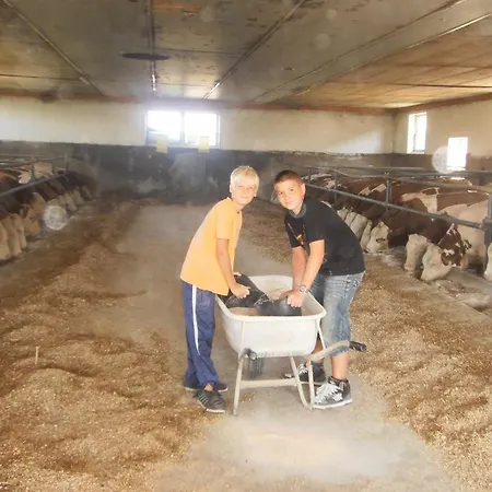 Familienbauernhof Strassbauer Κατάλυμα σε φάρμα *