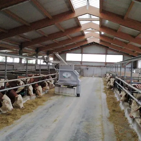 Familienbauernhof Strassbauer * Steinakirchen am Forst