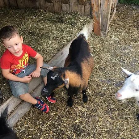 Familienbauernhof Strassbauer Farmház
