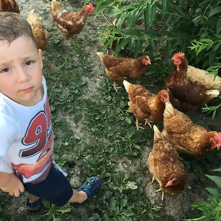 Familienbauernhof Strassbauer * Steinakirchen am Forst