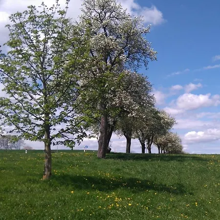 Farmház Familienbauernhof Strassbauer Steinakirchen am Forst