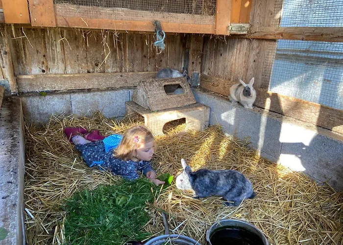 Familienbauernhof Strassbauer * Steinakirchen Am Forst