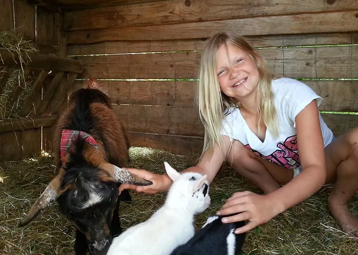 Lantgård Familienbauernhof Strassbauer Steinakirchen Am Forst