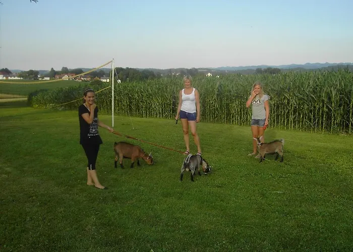 Familienbauernhof Strassbauer Steinakirchen Am Forst
