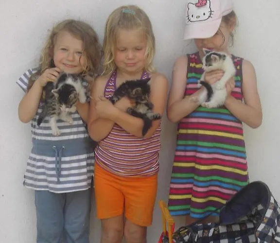 Familienbauernhof Strassbauer Lantgård