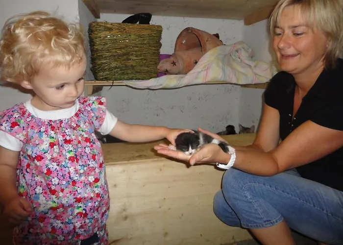 Lantgård Familienbauernhof Strassbauer Steinakirchen Am Forst