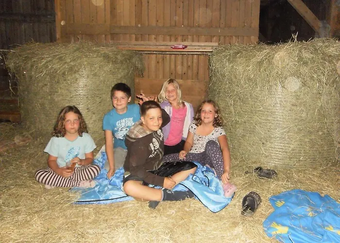 Familienbauernhof Strassbauer Lantgård Steinakirchen Am Forst