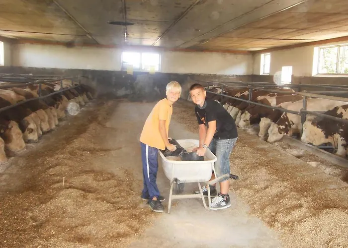 Familienbauernhof Strassbauer Lantgård *