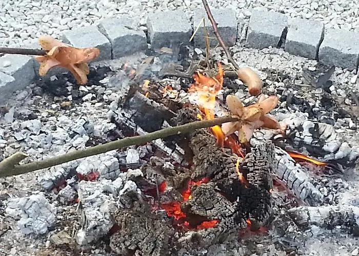 Familienbauernhof Strassbauer Lantgård Steinakirchen Am Forst