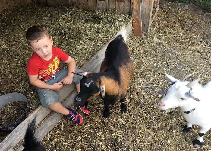 Familienbauernhof Strassbauer Lantgård