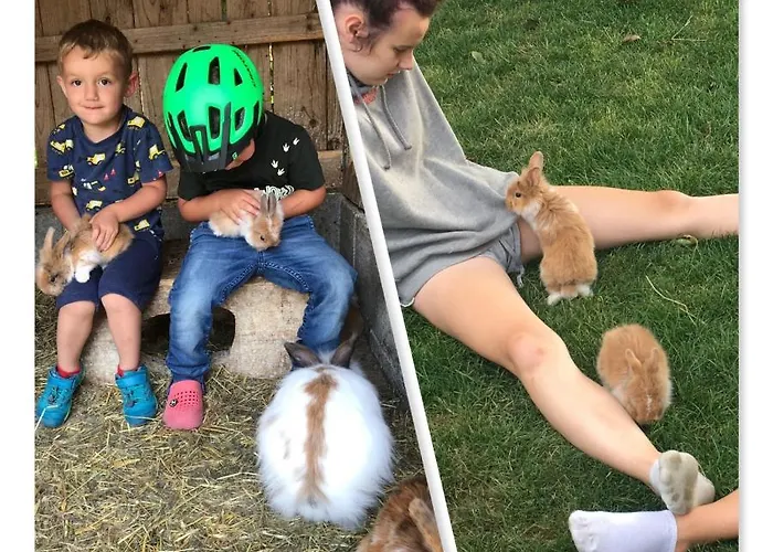 Lantgård Familienbauernhof Strassbauer Steinakirchen Am Forst