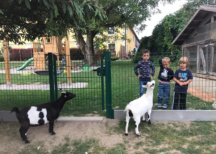 Lantgård Familienbauernhof Strassbauer *