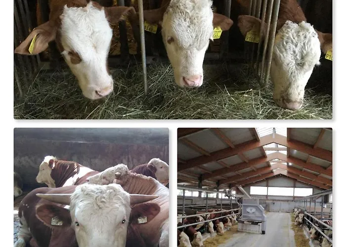 Familienbauernhof Strassbauer