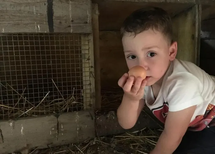 Lantgård Familienbauernhof Strassbauer *