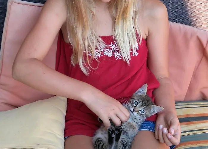 Familienbauernhof Strassbauer Lantgård Steinakirchen Am Forst