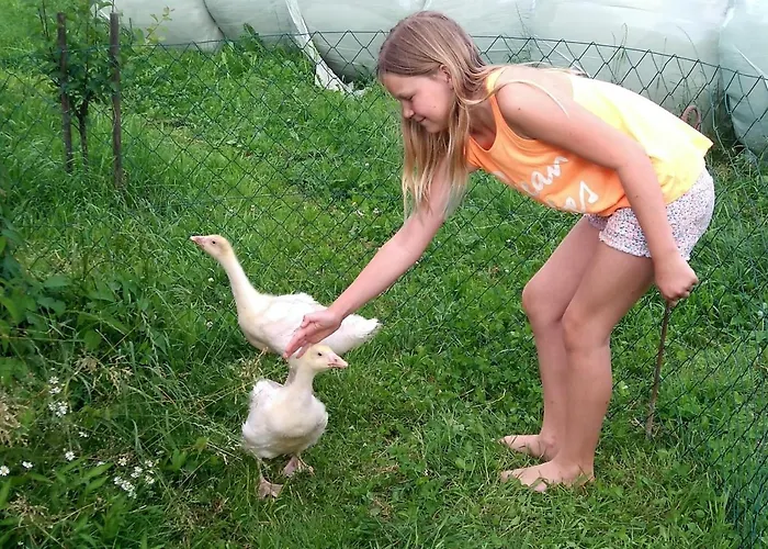 Lantgård Familienbauernhof Strassbauer *