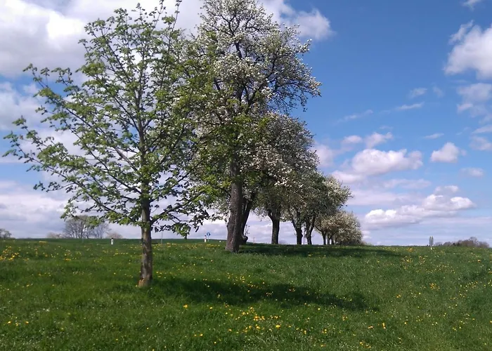 Lantgård Familienbauernhof Strassbauer Steinakirchen Am Forst